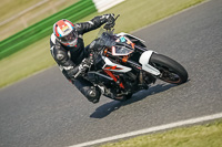 Middle Group White Bikes